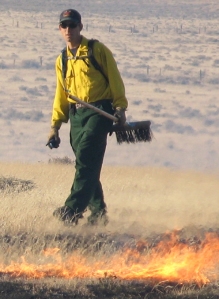 David Augustine conducts a prescribed burn in shortgrass steppe at the Central Plains Experimental Range.
