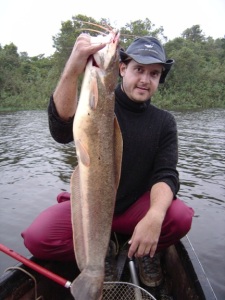 Figure 1. Jean Vitule holding a wild-caught African catifish Clarias gariepinus from an Atlanctica forest protected area in Guaraguaçu River, Brazil. Picture taken by Simone Umbria.