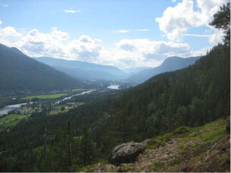 Our study site Hallingdalen, a valley in central Norway, is a multiple-use landscape.