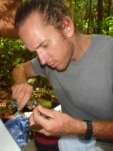Jared Wolfe banding a Wing-banded Antbird at the study site in the central Amazon - 2nd picture