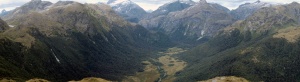 Dense Nothofagus forests (dark green) dominate mountain-sides in Fiordland, New Zealand