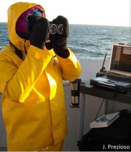 The first author, Holly Goyert, observing for seabirds, marine mammals, and tunas during a pelagic survey
