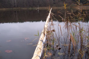 Photo 1: Maize added into the littoral zone. The rope prevents it from floating into the open water.