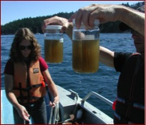 Researchers from the Friday Harbor Laboratories collect ‘raw’ POM samples. The complex mixture in these jars was dissected using counts and diverse biomarkers. Photo: A. Lowe.