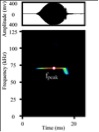 Figure 2 Oscillogram (above) and Spectrogram (below) of an echolocation pulse of Hipposideros armiger. fpeak = peak frequency.