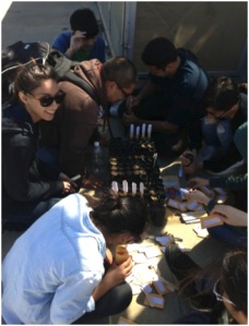 Undergraduate students contributed to this study by aiding in both planting and harvesting. Here they are shown planting seeds for species pairs at the start of the experiment.