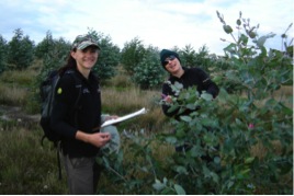 Trait assessments under way at the Eucalyptus globulus trial site by authors Christina Borzak (left) and Julianne O’Reilly-Wapstra (right).